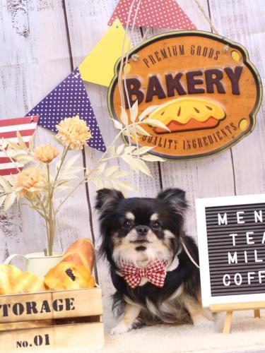 20240921プリンちゃん